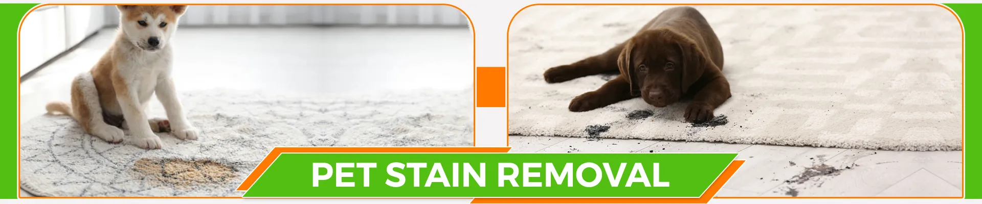 carpet cleaners in Staten Island, carpet cleaning in Staten Island, carpet cleaning staten island, carpet cleaners in staten island,  commercial carpet cleaning, commercial carpet cleaning in staten island,carpet cleaning in staten island,  staten island rug cleaners, rug cleaning services in staten island, same day carpet cleaning, same day rug cleaning