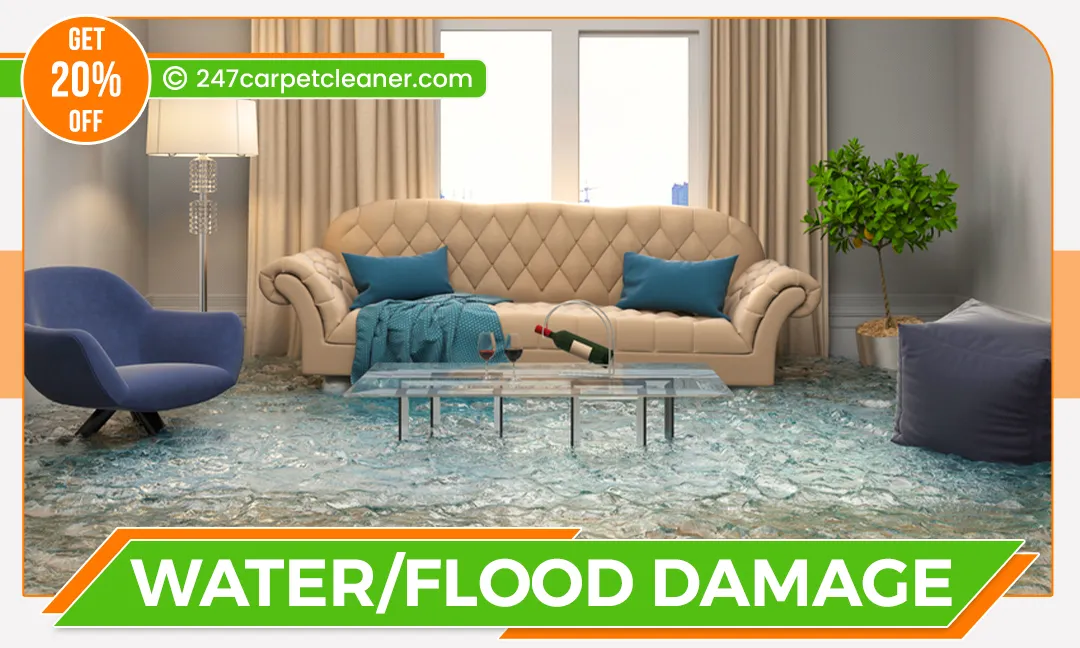 carpet cleaners in Staten Island, carpet cleaning in Staten Island, carpet cleaning staten island, carpet cleaners in staten island,  commercial carpet cleaning, commercial carpet cleaning in staten island,carpet cleaning in staten island,  staten island rug cleaners, rug cleaning services in staten island, same day carpet cleaning, same day rug cleaning