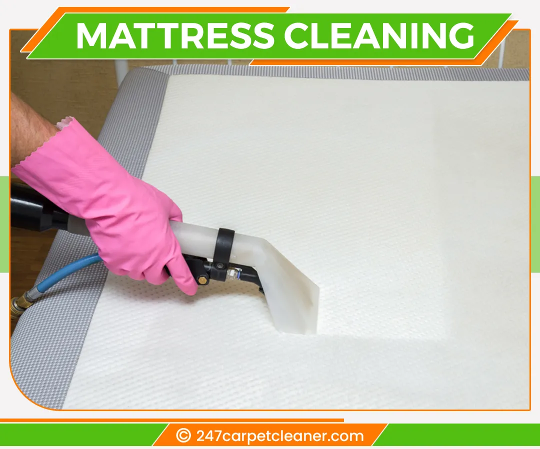 carpet cleaners in Staten Island, carpet cleaning in Staten Island, carpet cleaning staten island, carpet cleaners in staten island,  commercial carpet cleaning, commercial carpet cleaning in staten island,carpet cleaning in staten island,  staten island rug cleaners, rug cleaning services in staten island, same day carpet cleaning, same day rug cleaning